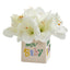 12” Amaryllis Artificial Arrangement in “New Baby” Vase