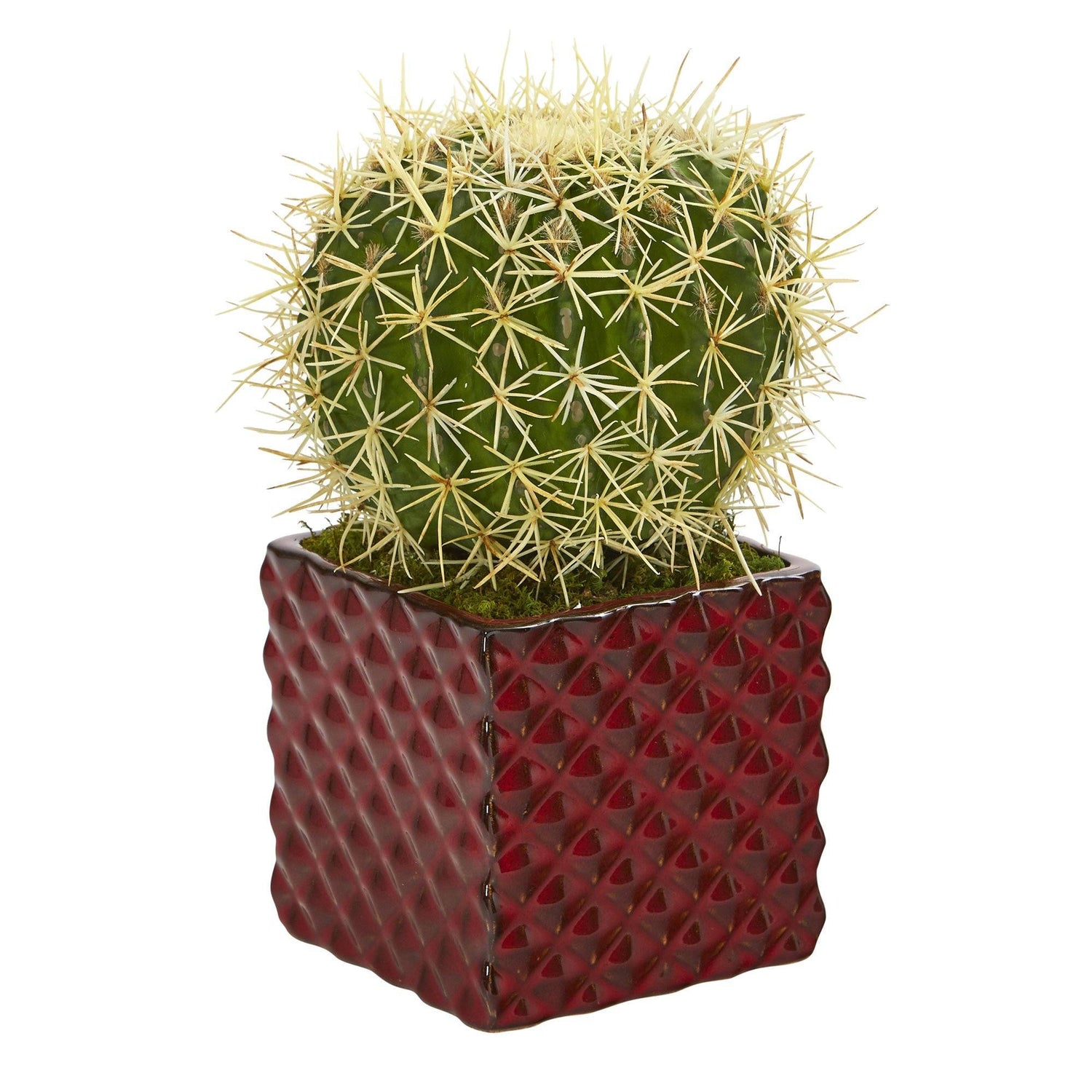 red succulent cactus plant 12” Cactus Succulent Artificial Plant in Red Ceramic Vase