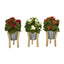 12” Kalanchoe Plant in Tin Planter with Legs (Set of 3)