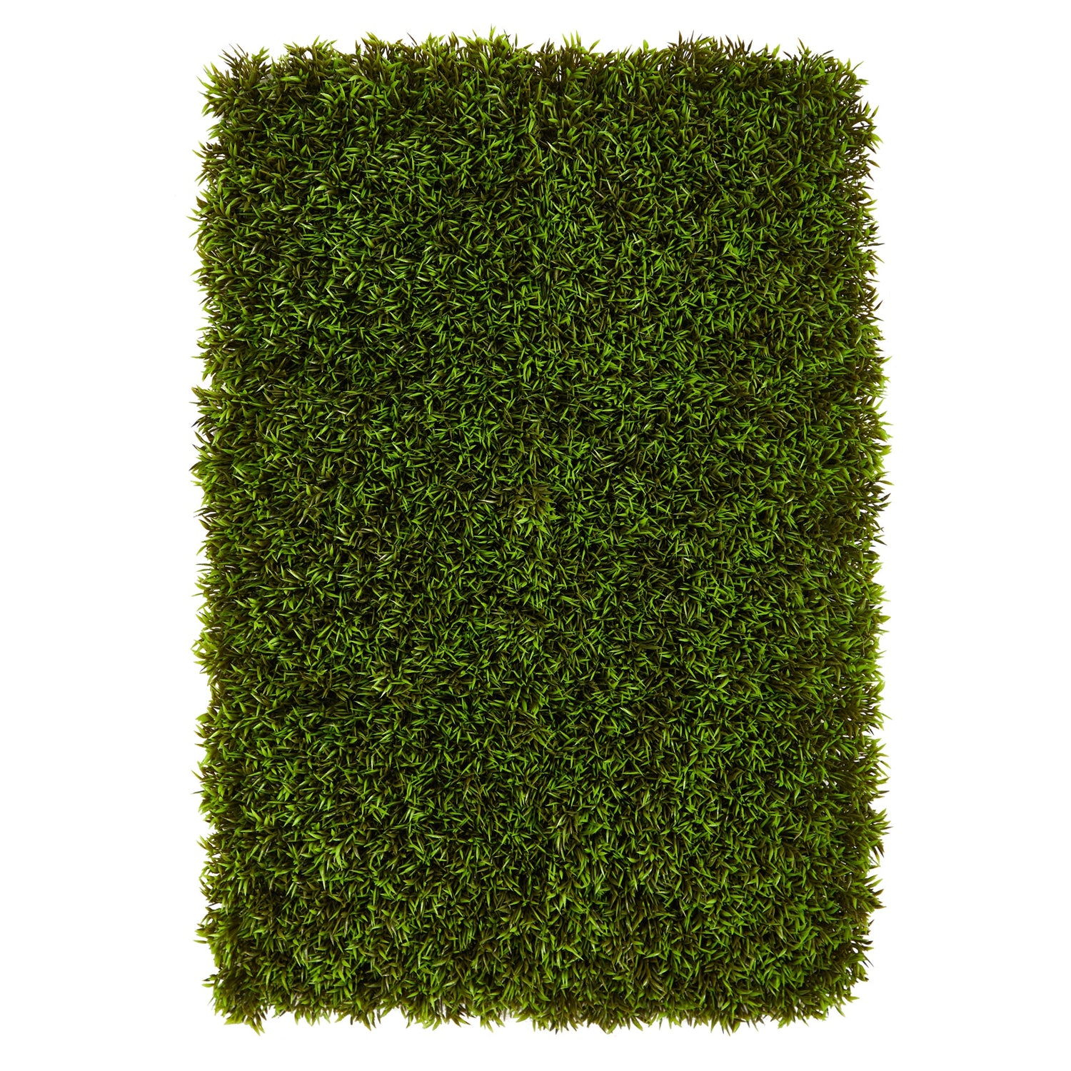 12” Mini Podocarpus Artificial Wall Mat (Indoor/Outdoor) (Set of 6) Trellis
