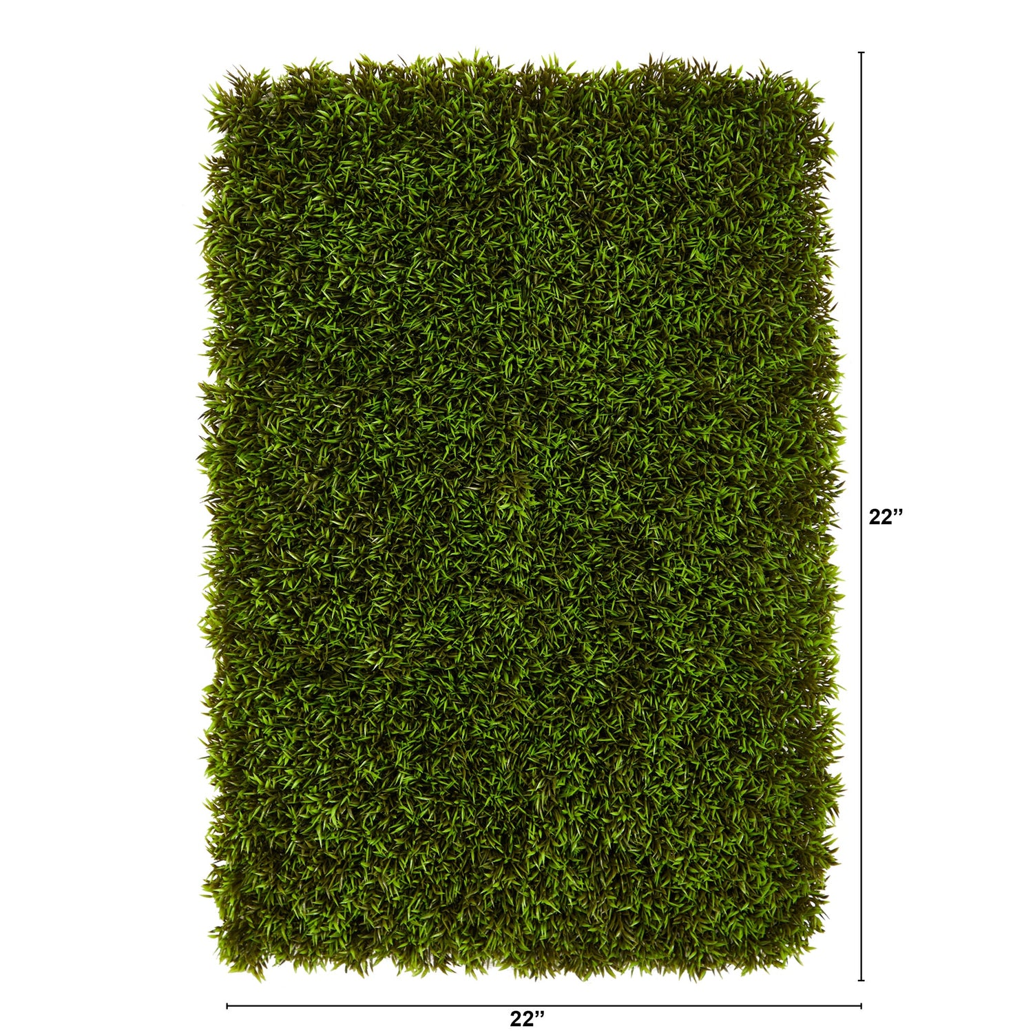 12” Mini Podocarpus Artificial Wall Mat (Indoor/Outdoor) (Set of 6) Trellis
