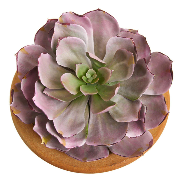 12” Succulent Artificial Plant in Glazed Ceramic Vase (Set of 2)