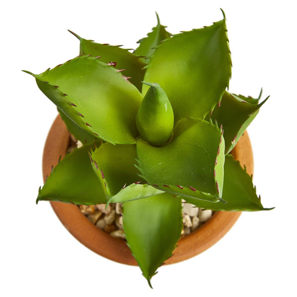 12” Succulent Artificial Plant in Glazed Ceramic Vase (Set of 2)