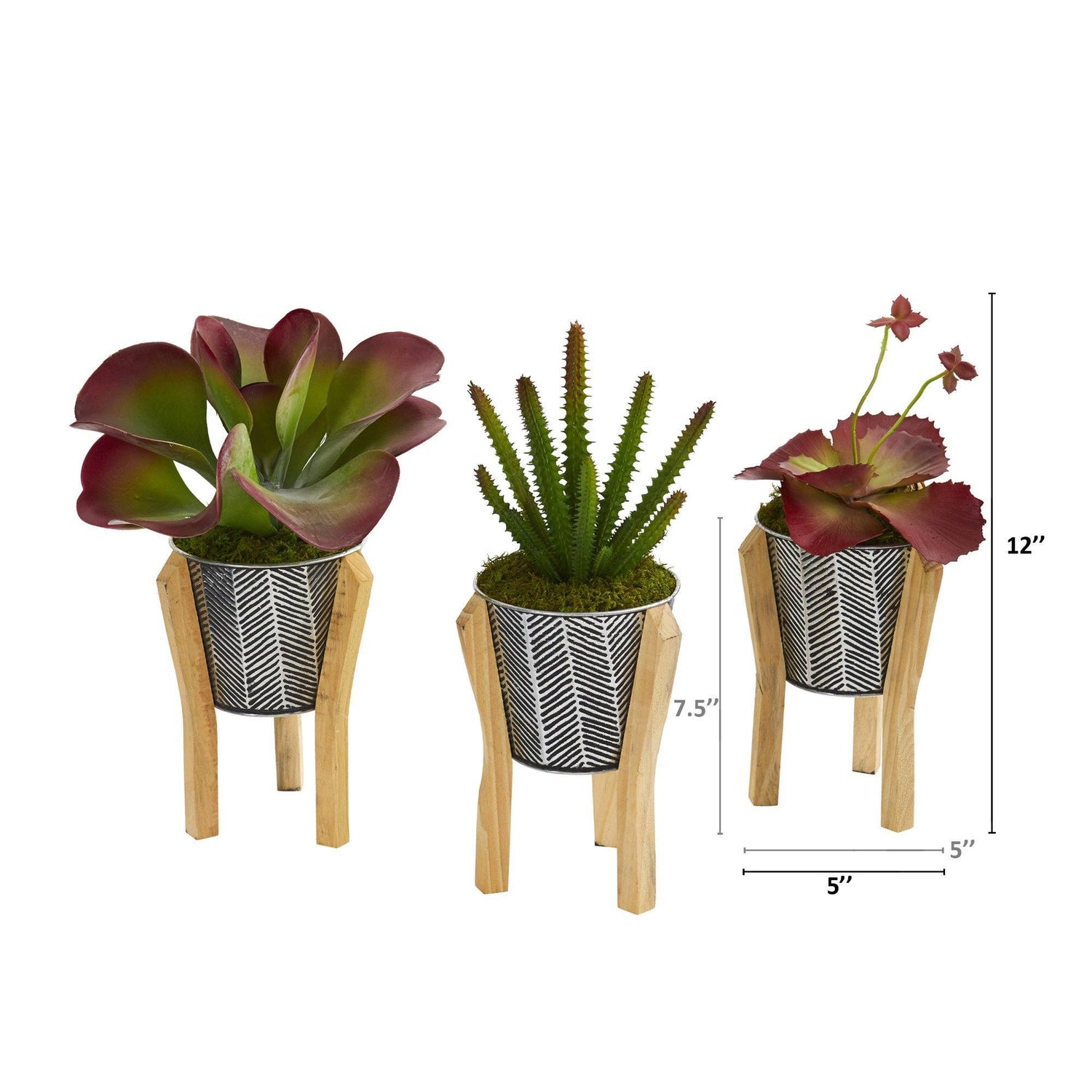 12” Succulent Artificial Plant in Tin Planter with Legs  (Set of 3)