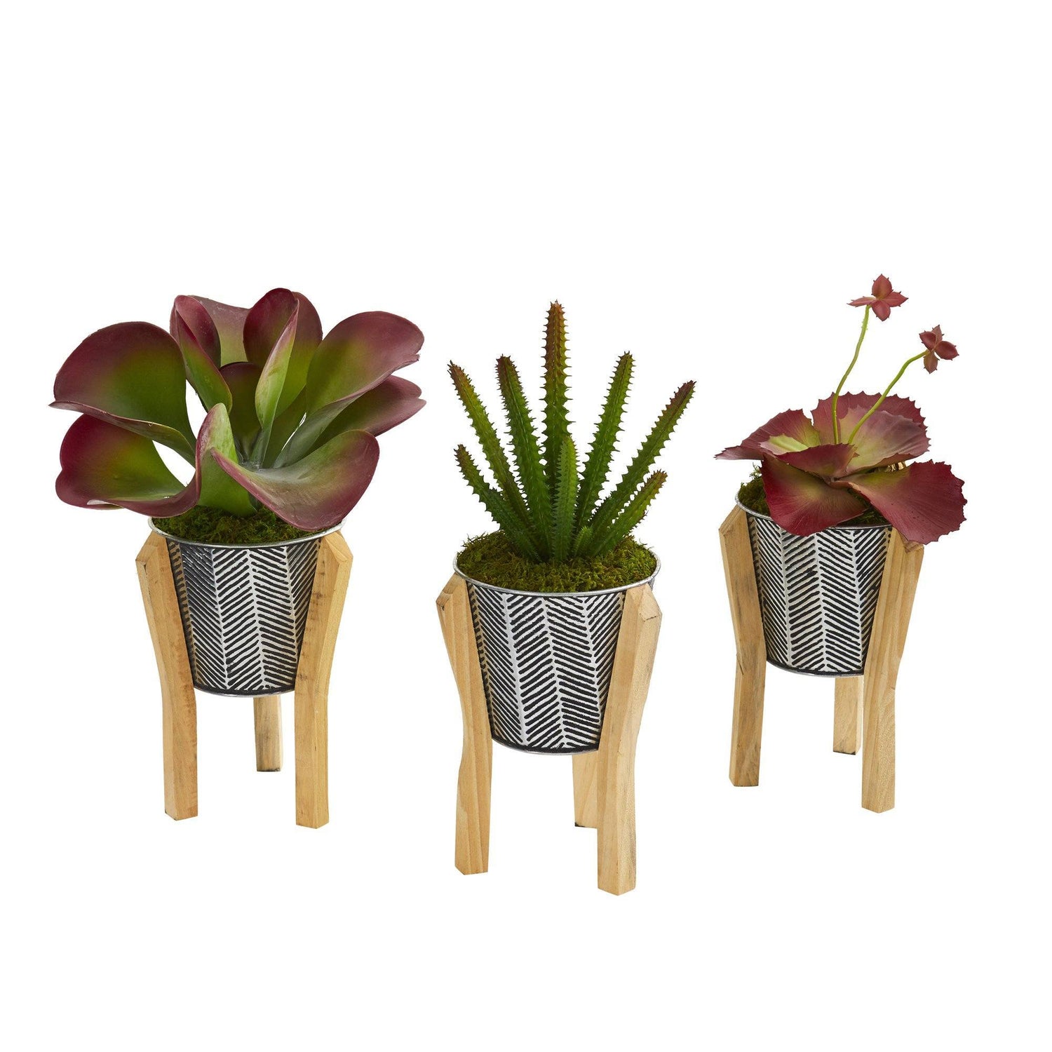12” Succulent Artificial Plant in Tin Planter with Legs  (Set of 3)