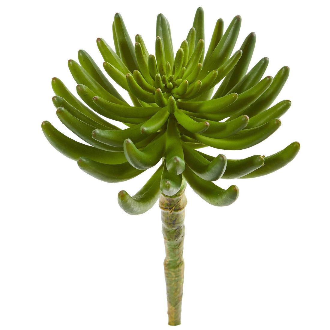 the succulent six 12” Succulent Artificial Plant (Set of 6)
