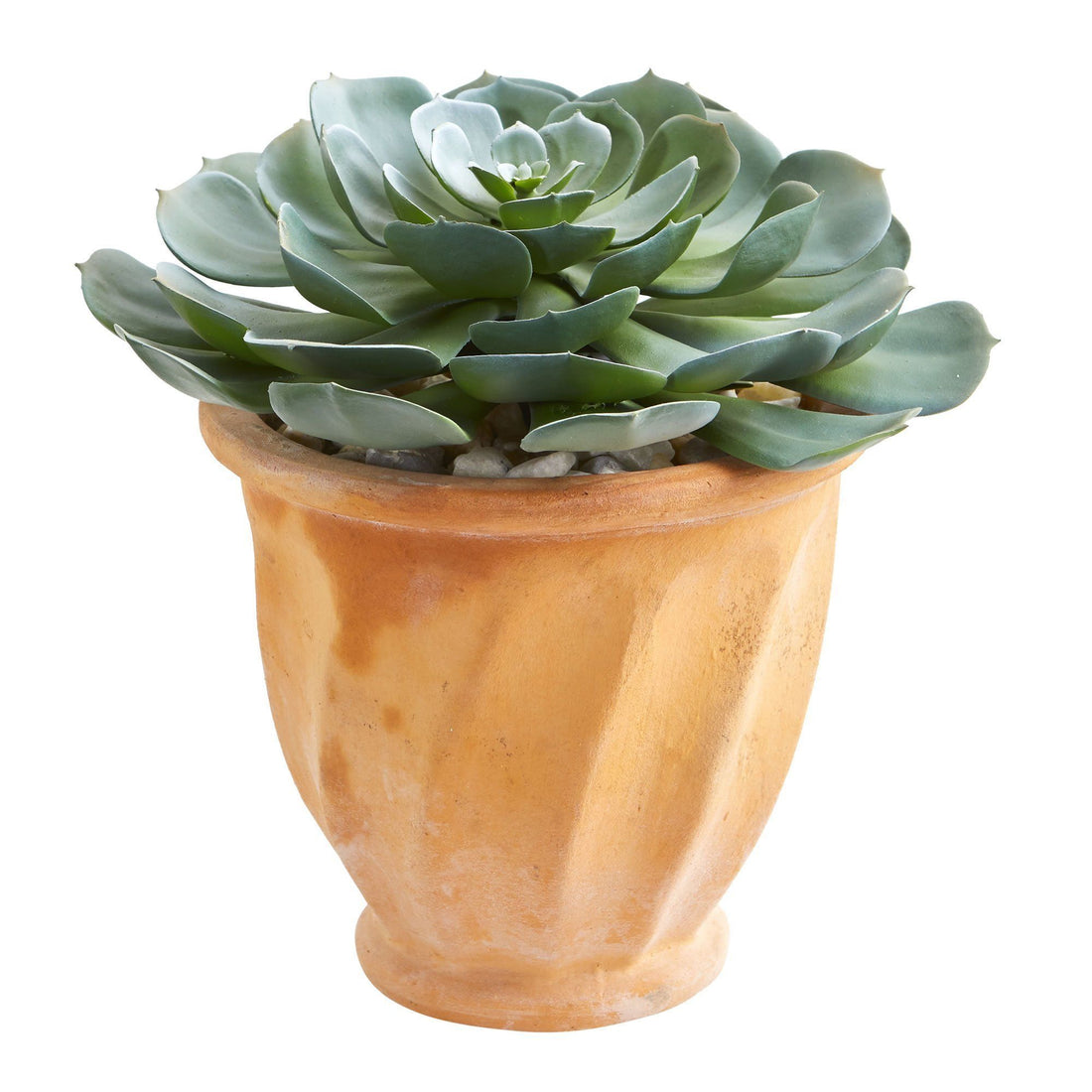 succulent extending 13” Giant Echeveria Succulent Artificial Plant in Terra Cotta Planter