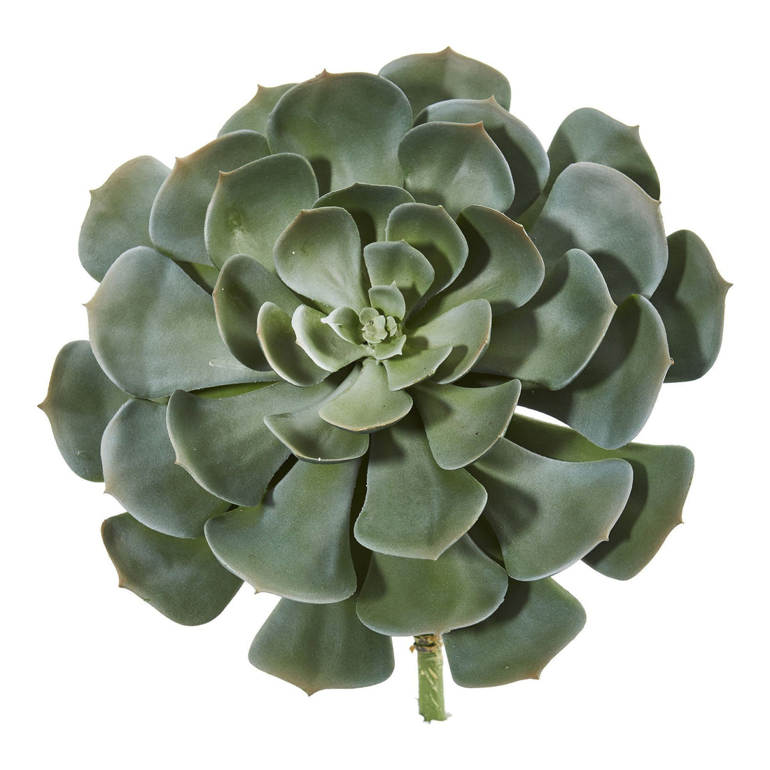 13” Giant Echeveria Succulent Pick Artificial Plant (Set of 2) 6243-S2  Nearly Natural