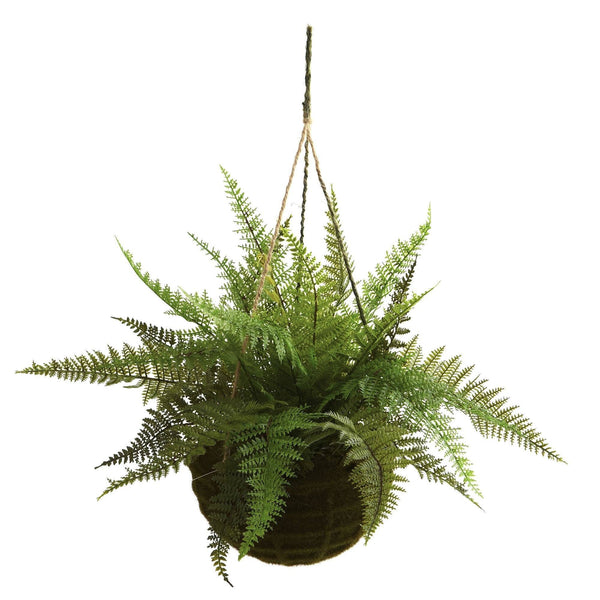 13" Leather Fern Hanging Basket w/ Moss - Set of 2 + (Indoor/Outdoor)