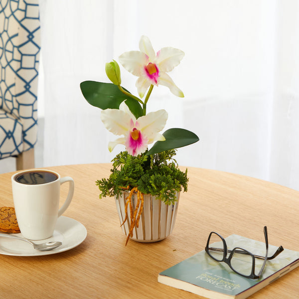 13” Mini Orchid Cattleya Artificial Arrangement in White Vase with Silver Trimming