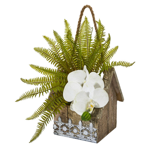 13” Phalaenopsis Orchid and Fern Plant in Hanging Planter