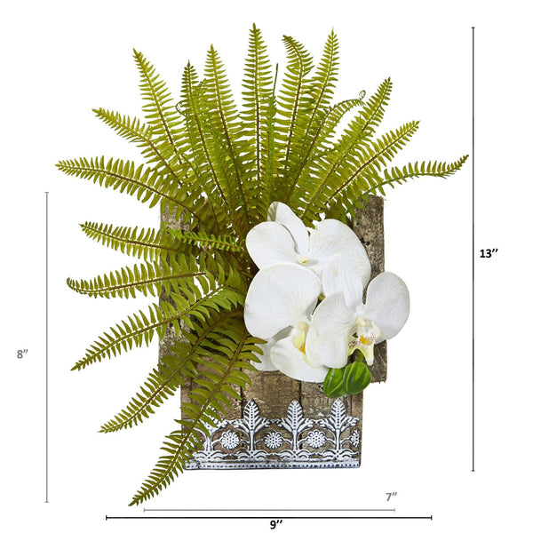 13” Phalaenopsis Orchid and Fern Plant in Hanging Planter