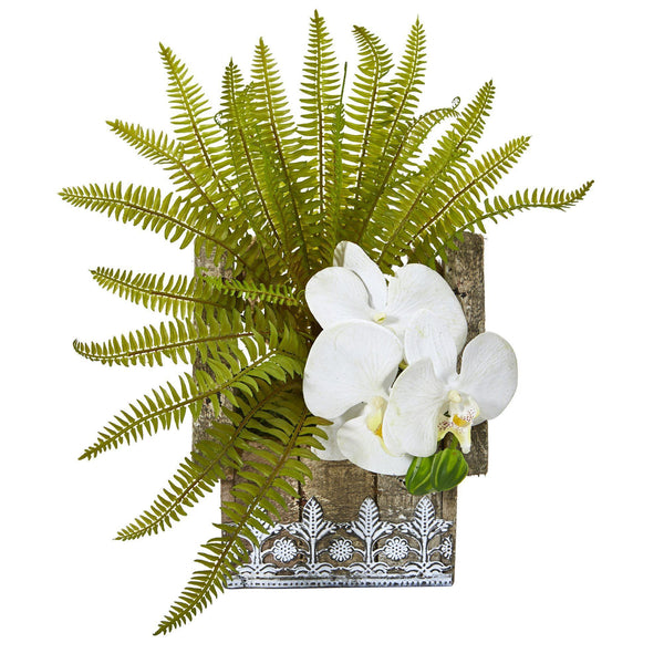 13” Phalaenopsis Orchid and Fern Plant in Hanging Planter