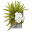 13” Phalaenopsis Orchid and Fern Plant in Hanging Planter