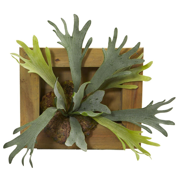 13” Staghorn Artificial Plant in Wood Hanging Frame