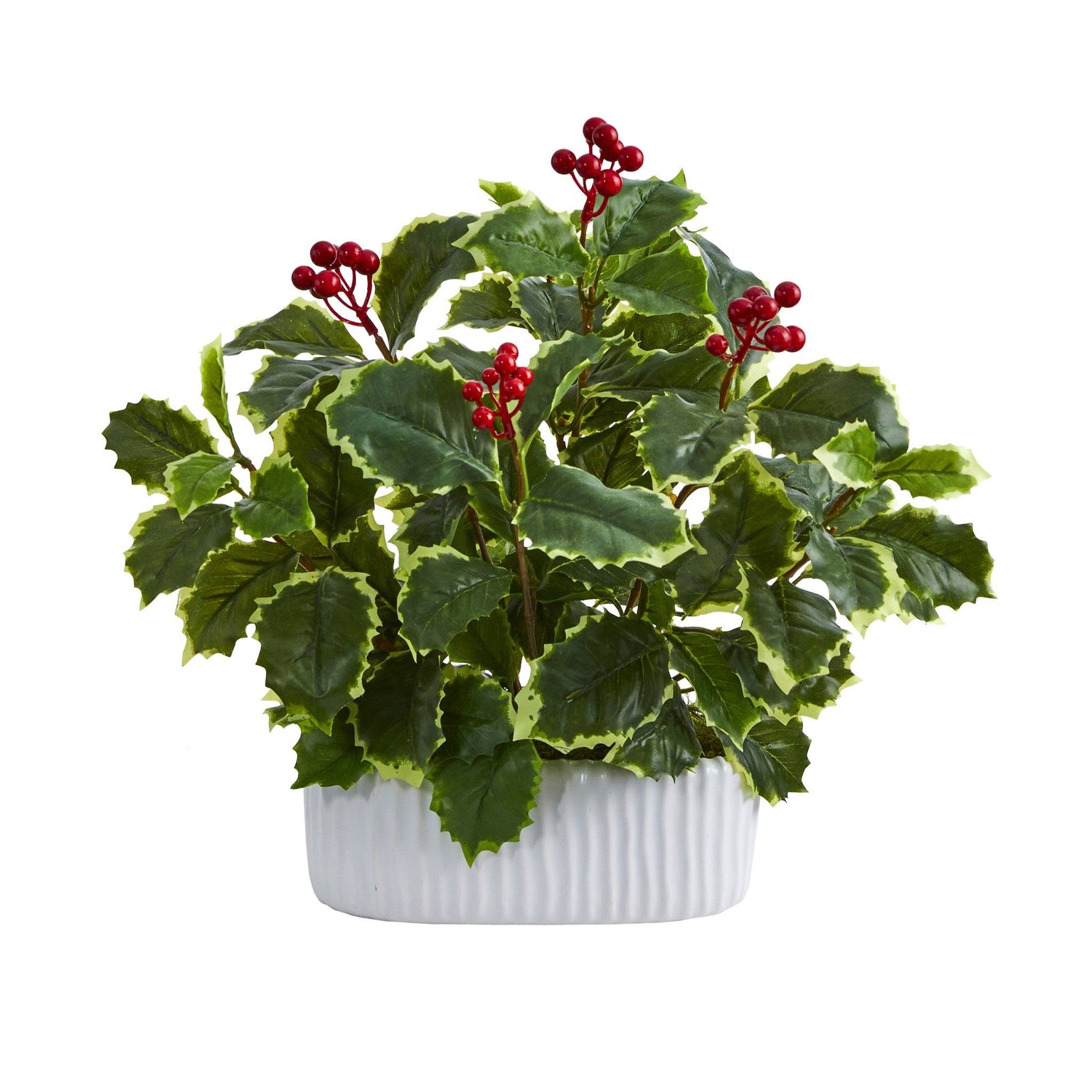13” Variegated Holly Leaf Artificial Plant in White Planter (Real Touch)