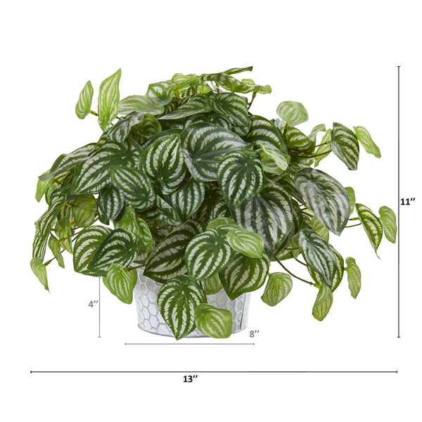 13” Watermelon Peperomia Artificial Plant in Embossed White Planter (Real Touch)