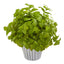 14” Basil Artificial Plant in White Planter with Silver Trimming