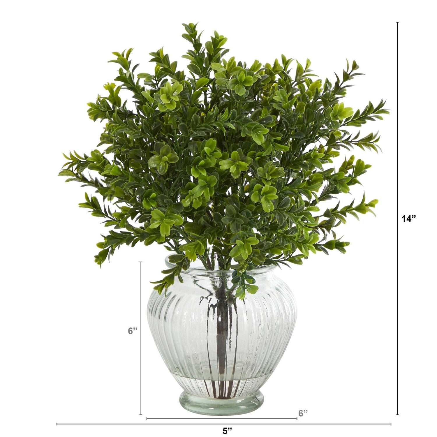 14” Boxwood Artificial Plant in Glass Planter (Indoor/Outdoor)