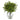14” Boxwood Artificial Plant in Glass Planter (Indoor/Outdoor)
