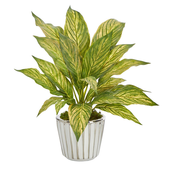 14” Musa Leaf Artificial Plant in White Planter with Silver Trimming