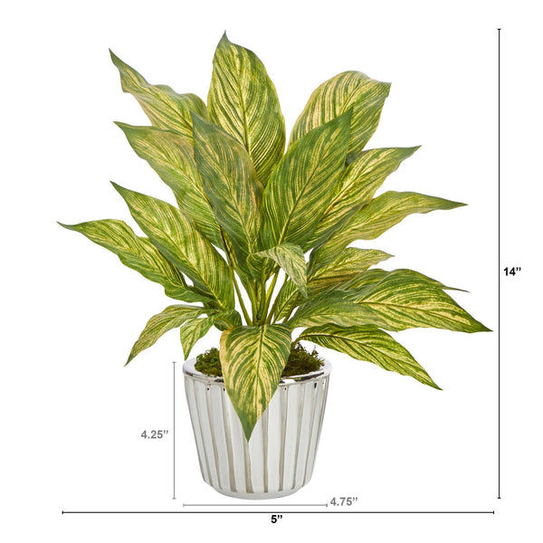 14” Musa Leaf Artificial Plant in White Planter with Silver Trimming