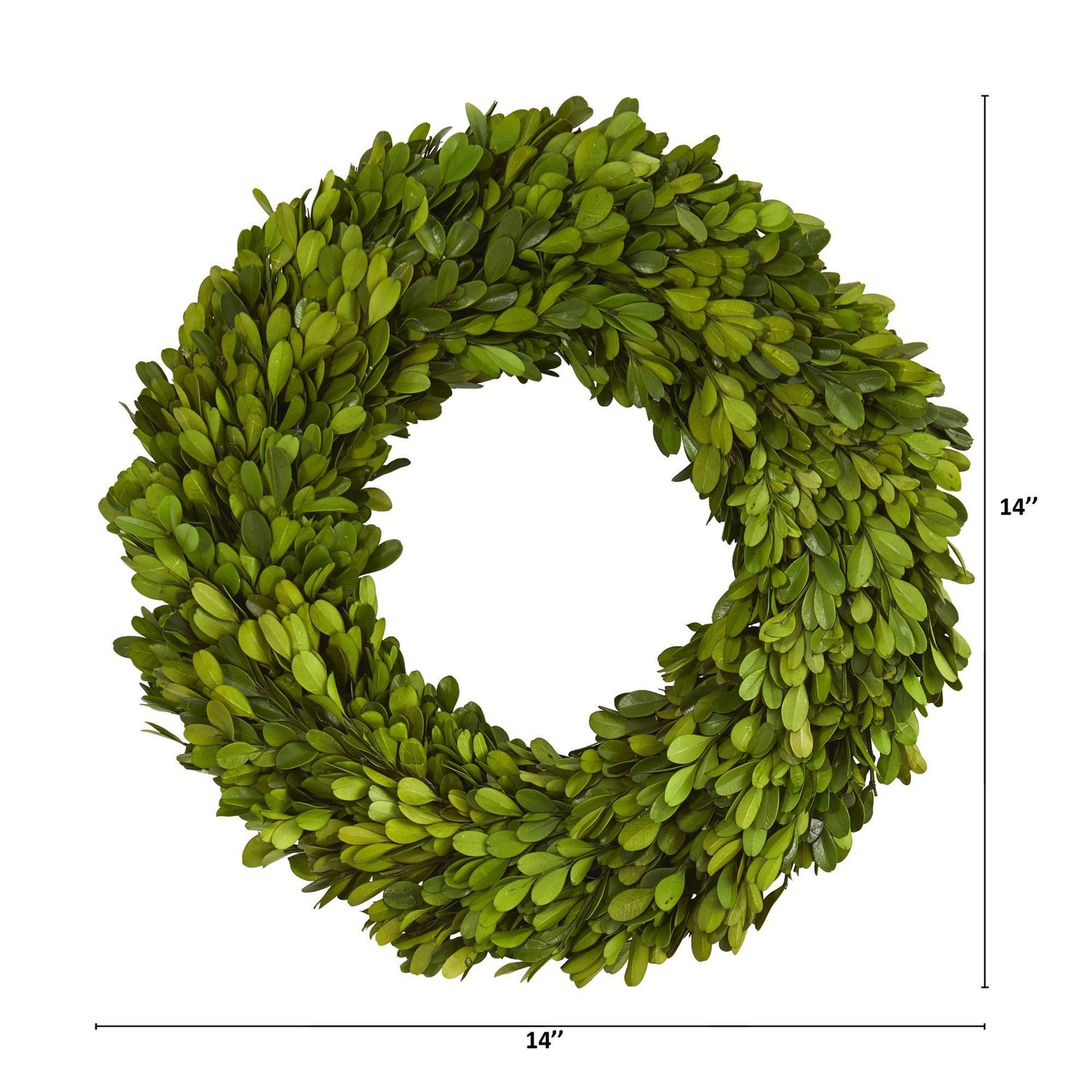 14” Preserved Boxwood Wreath