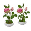 14” Rose Artificial Arrangement in White Vase (Set of 2)