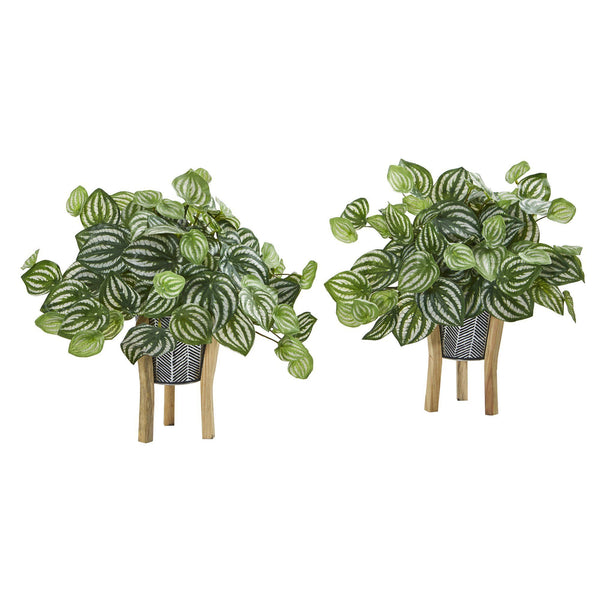 14” Watermelon Peperomia Artificial Plant in Tin Planter with Legs (Real Touch) (Set of 2)