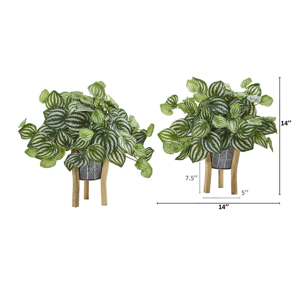 14” Watermelon Peperomia Artificial Plant in Tin Planter with Legs (Real Touch) (Set of 2)