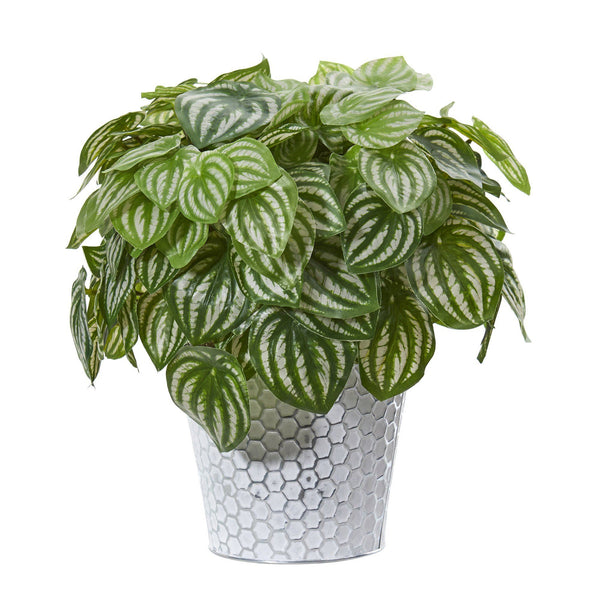 14” Watermelon Peperomia Artificial Plant in White Embossed Planter (Real Touch)