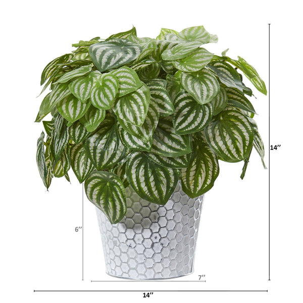 14” Watermelon Peperomia Artificial Plant in White Embossed Planter (Real Touch)