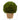 15” Boxwood Ball Preserved Plant in Planter