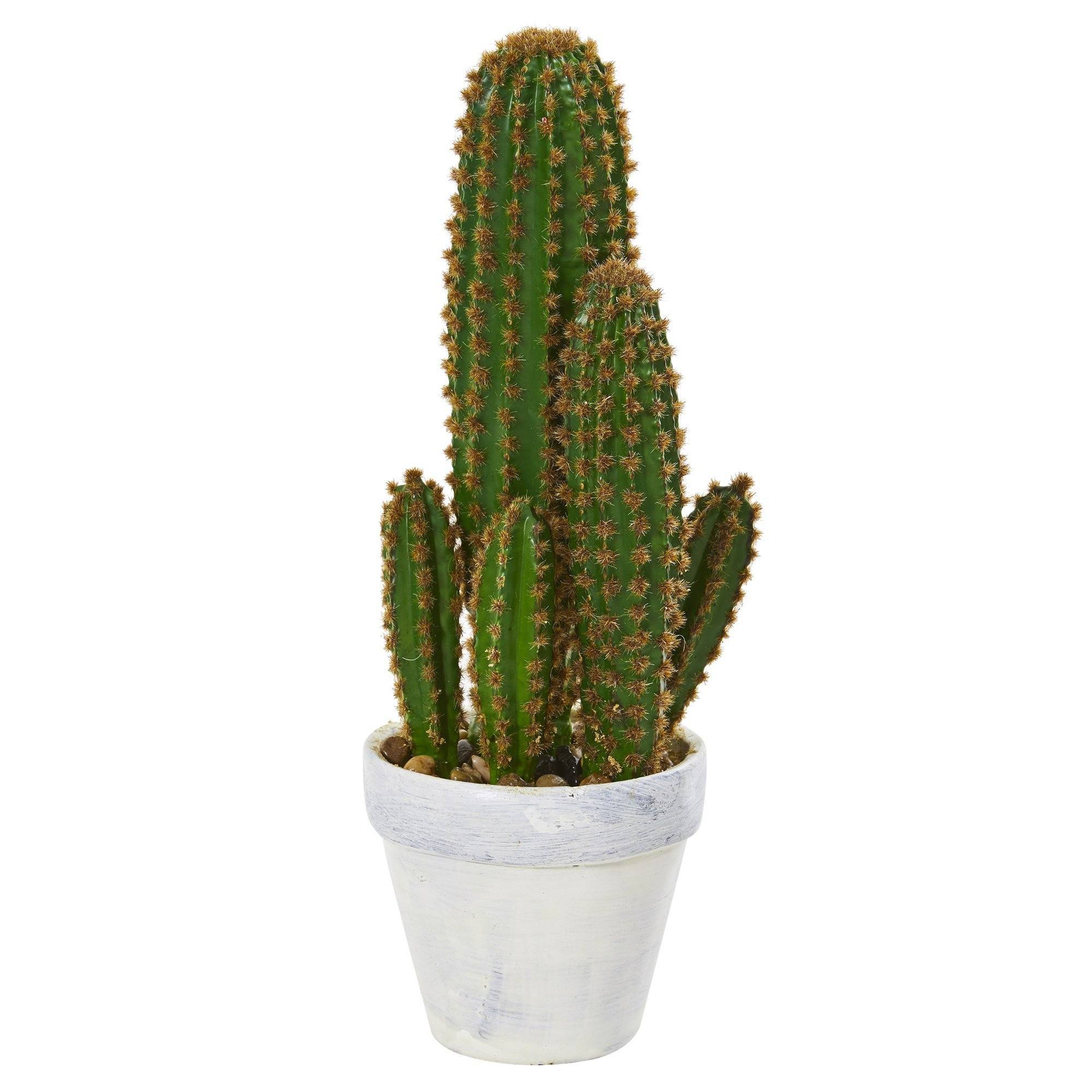 1.5’ Cactus Succulent Artificial Plant | Nearly Natural