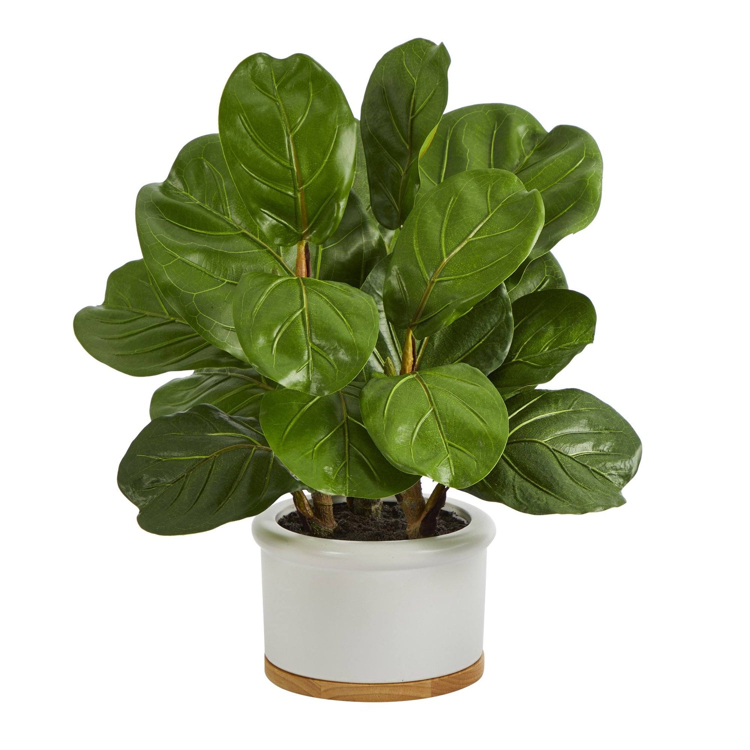 15” Fiddle Leaf Artificial Tree in White Planter