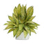 15” Musa Leaf Artificial Plant in White Tin Planter