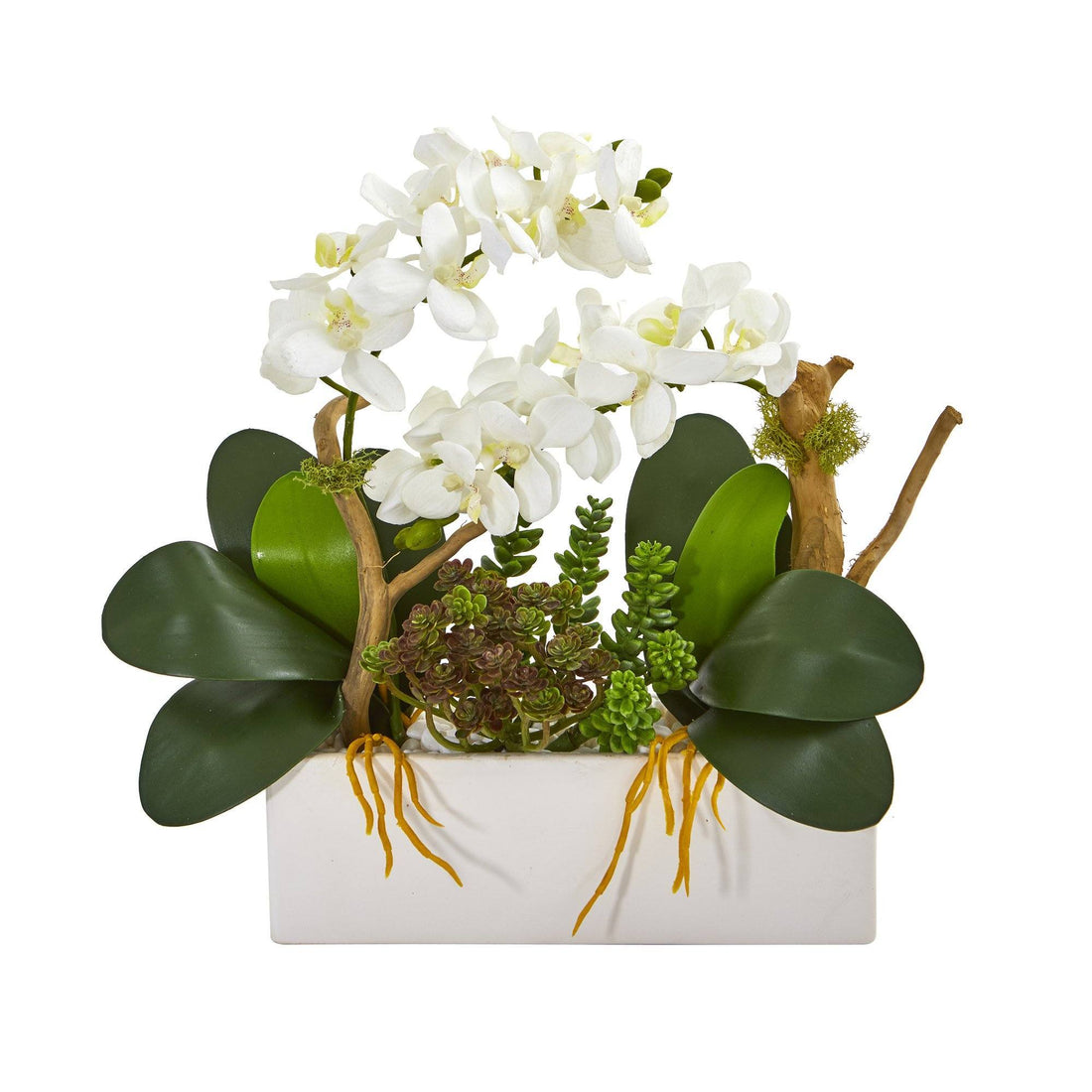 are orchids succulents 15” Phalaenopsis Orchid and Succulent Artificial Arrangement
