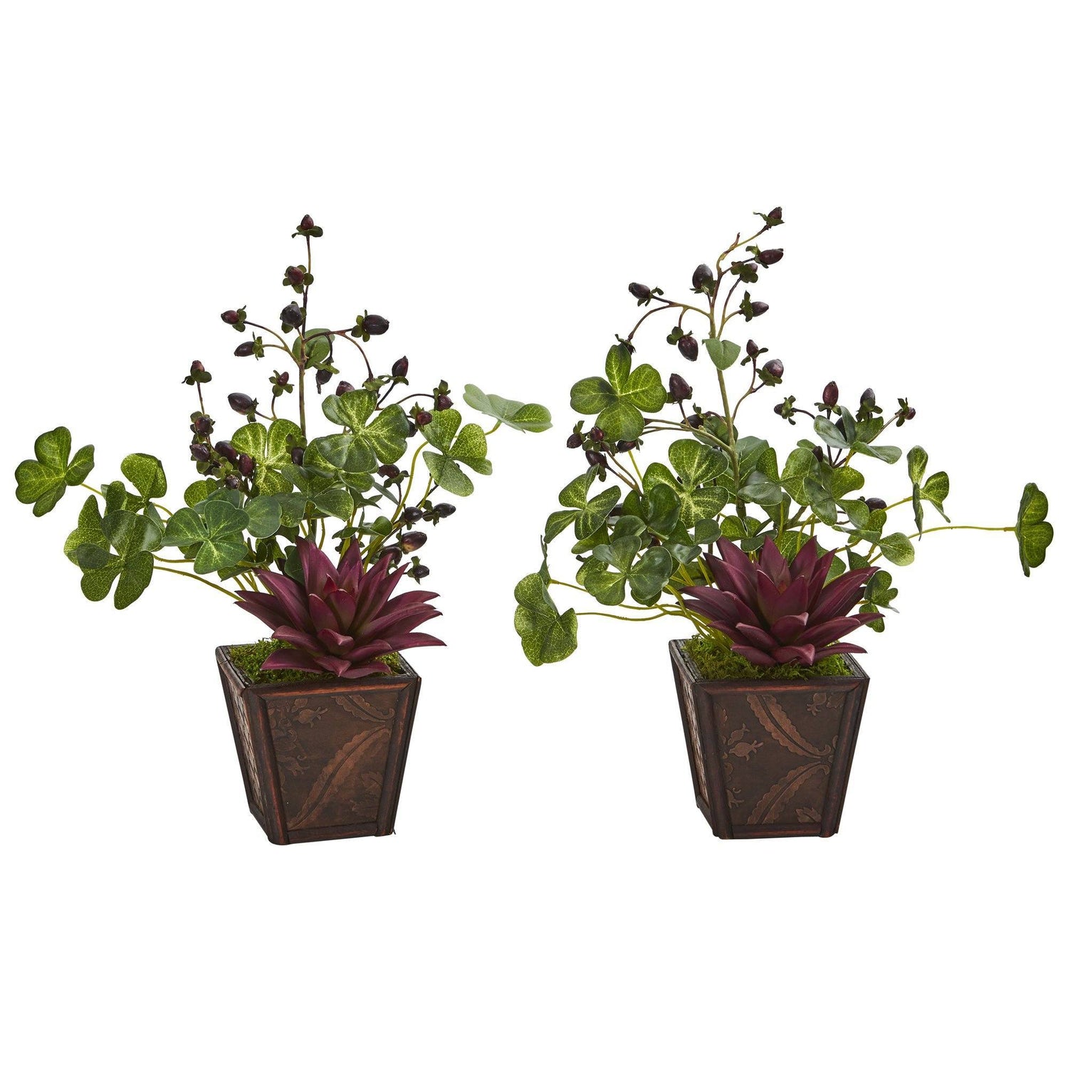 succulent clover 15” Succulent, Clover and Coffee Leaf Artificial Plant in Decorative Planter (Set of 2)