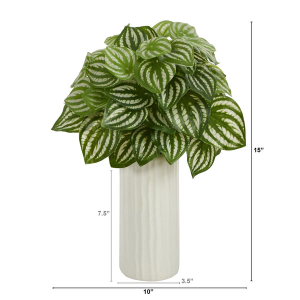 15” Watermelon Peperomia Artificial Plant in White Planter (Real Touch)