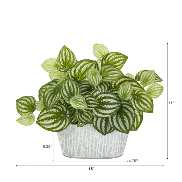 15” Watermelon Peperomia Artificial Plant in White Tin Planter (Real Touch)