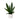16" Artificial Sansevieria Snake Plant with Decorative Planter