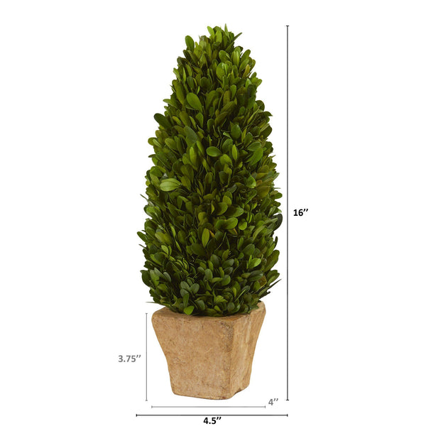 16” Boxwood Cone Preserved Plant in Planter