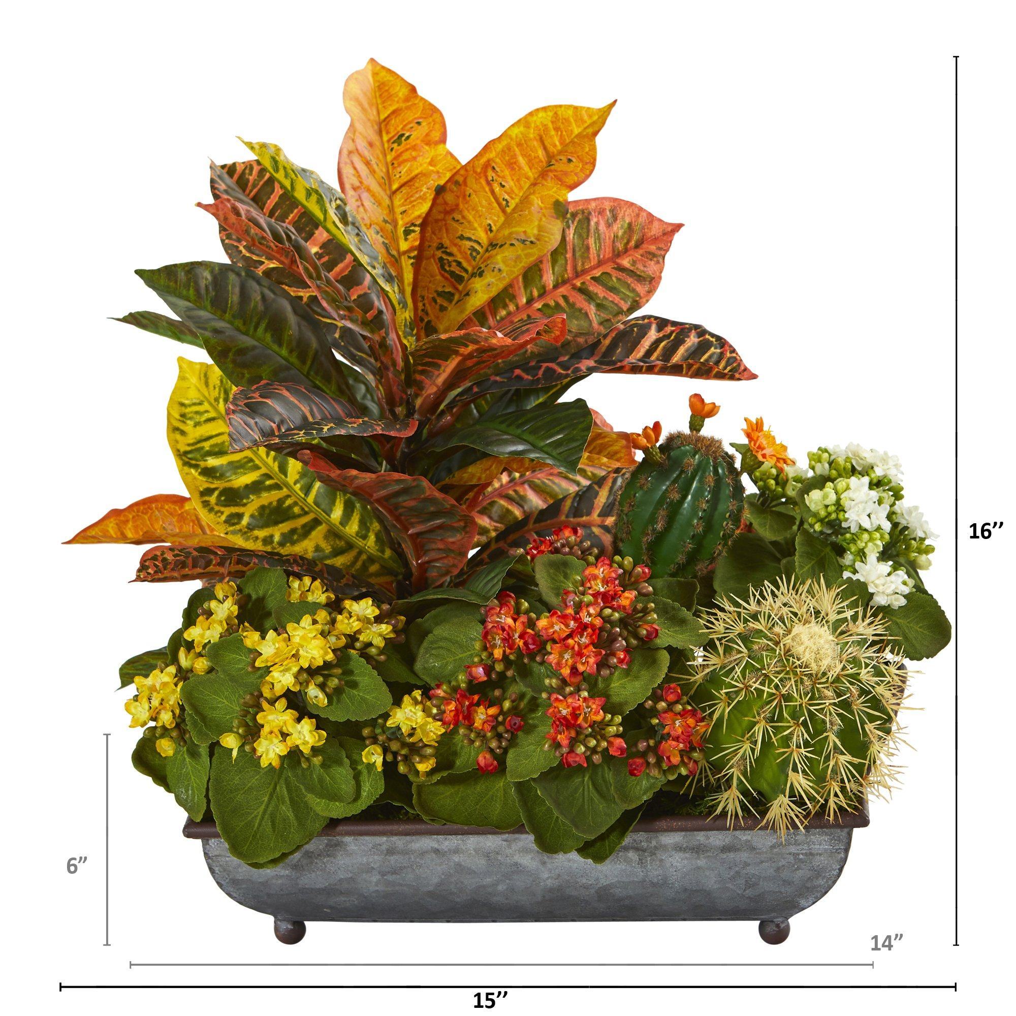 16+ Croton Plants For Sale 16” Croton, Kalanchoe and Cactus Artificial Plant in in Metal Tray