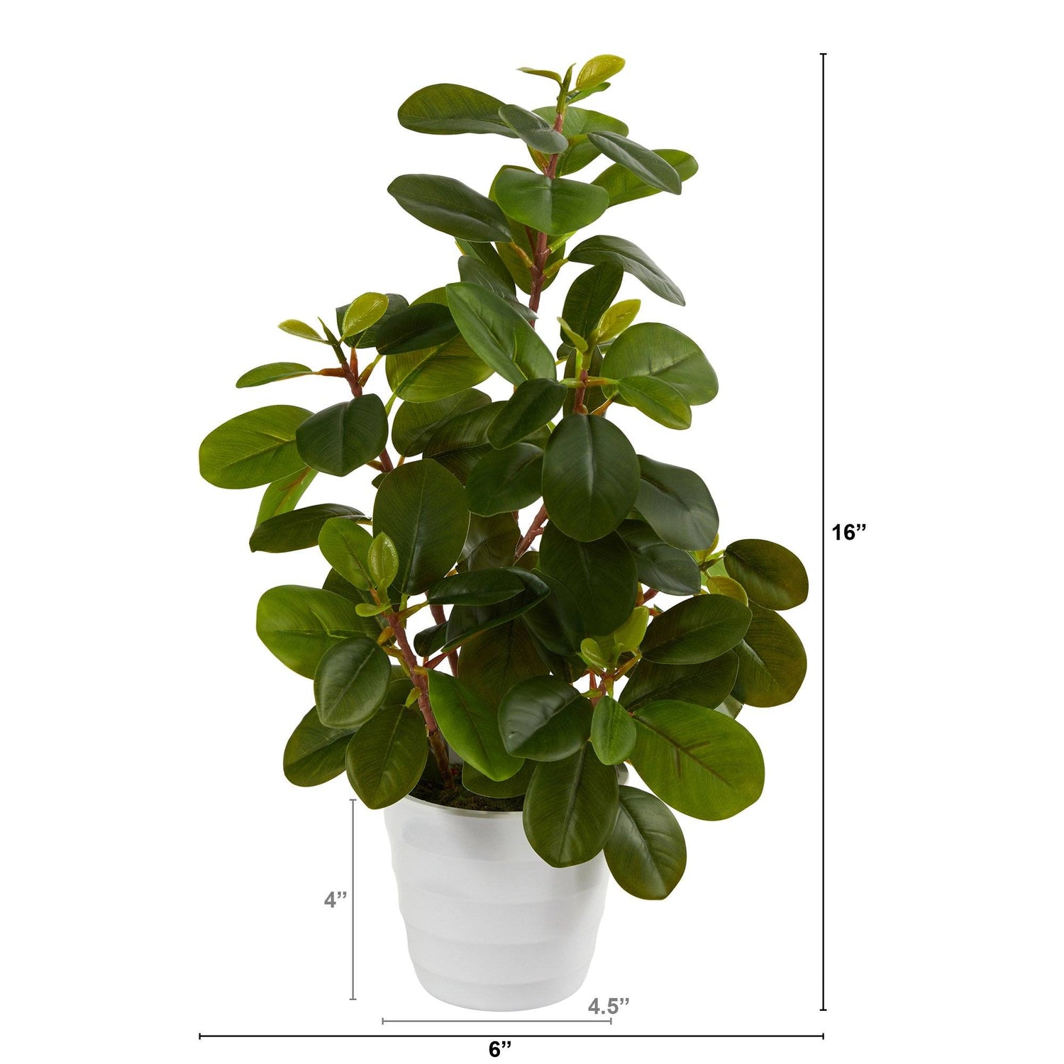 16” Peperomia Artificial Plant in Decorative Planter