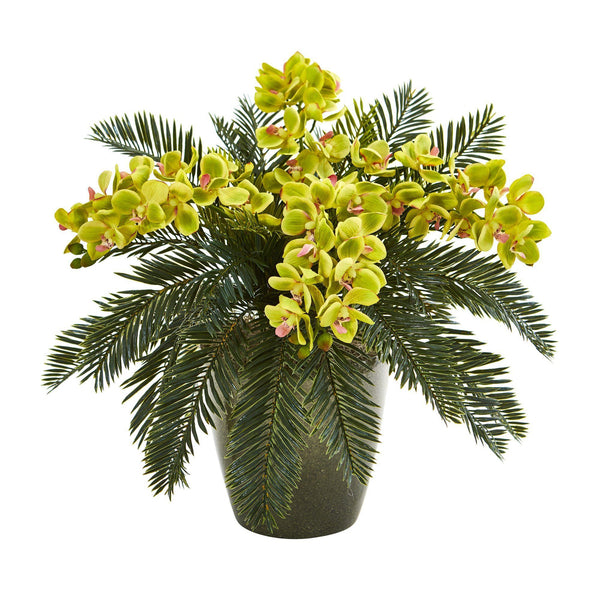 16” Phalaenopsis Orchid and Cycas Plant in Planter