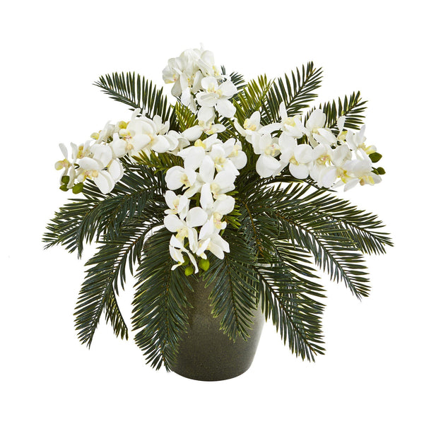 16” Phalaenopsis Orchid and Cycas Plant in Planter