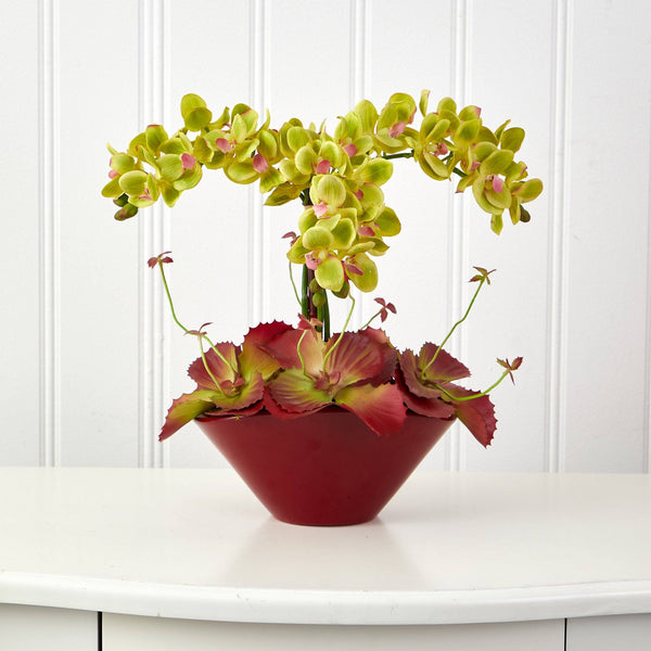 16” Phalaenopsis Orchid and Succulent Artificial Arrangement in Vase