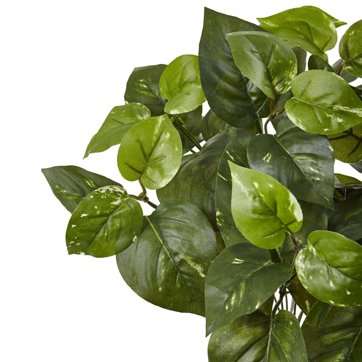 Silk Pothos Plant Artificial Pothos Plant Nearly Natural