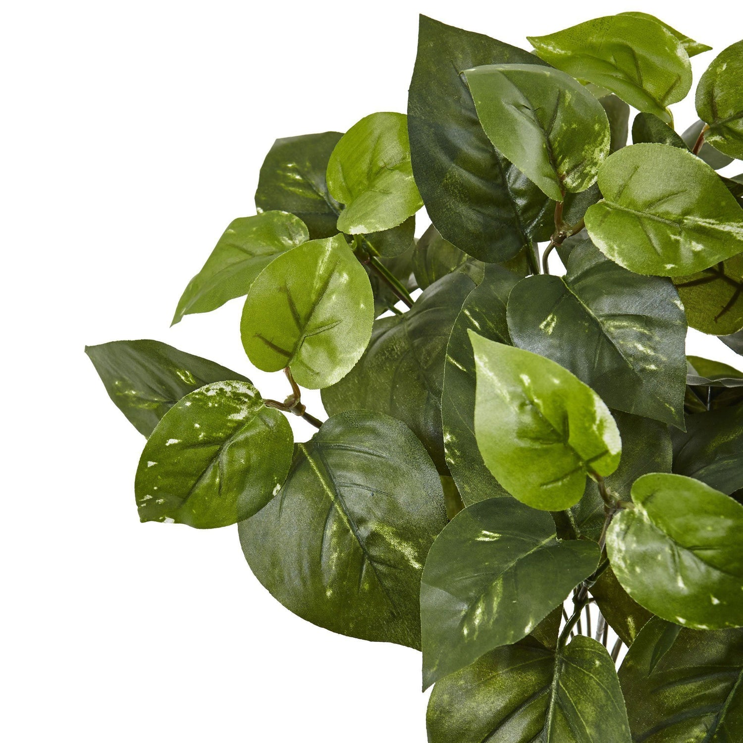 16” Pothos Artificial Plant (Set of 6)