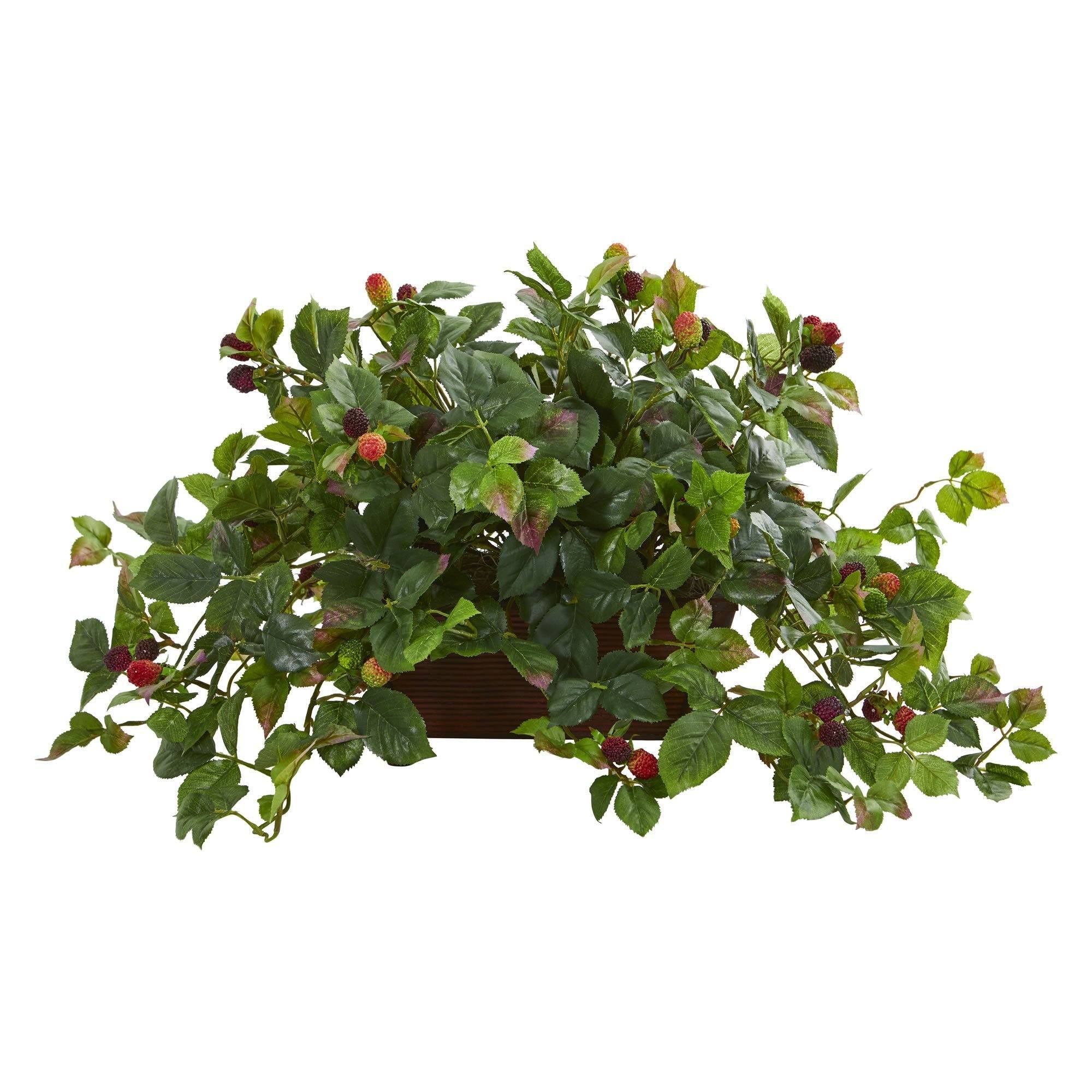 Is A Pink Raspberry Artificial 16